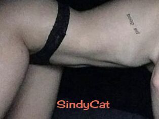 SindyCat