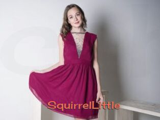SquirrelLittle