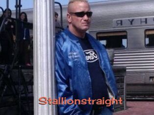 Stallionstraight