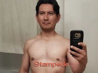 Stampede