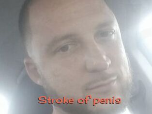 Stroke_of_penis