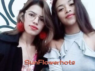 SunFlowerhots