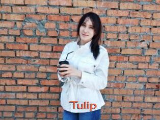 Tulip