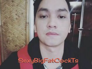 _SexyBigFatCockTs_