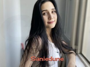 Saniedune