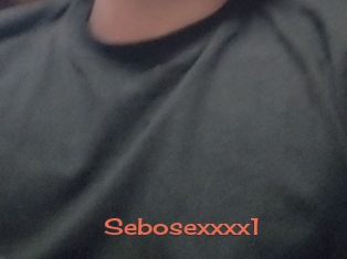 Sebosexxxx1