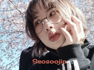Seosoojin