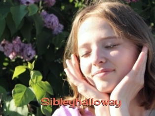 Sibleyhalloway