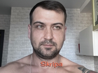 Skripa