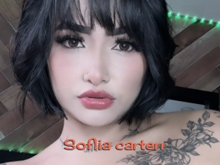 Sofiia_carterr