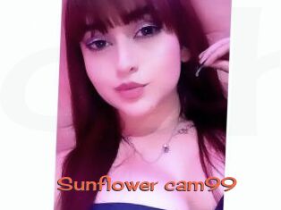 Sunflower_cam99