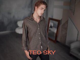 TEO_SKY
