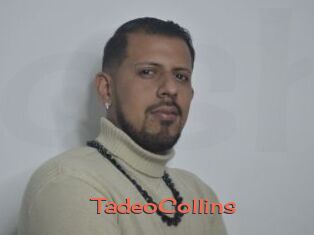 TadeoCollins