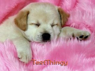 TestThingy