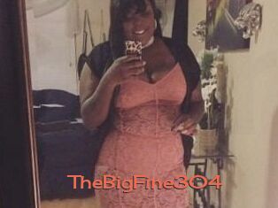 TheBigFine304