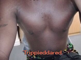 Trippieddared