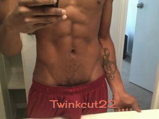 Twinkcut22