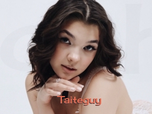 Taiteguy