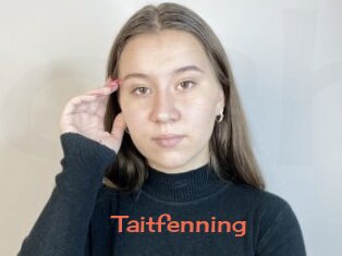 Taitfenning