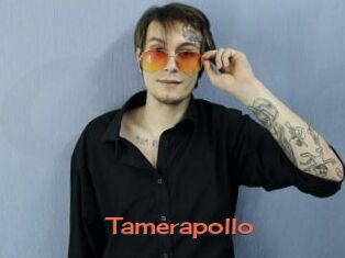 Tamerapollo