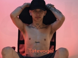Tatevogel