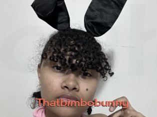 Thatbimbobunny