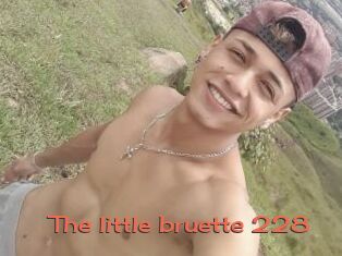 The_little_bruette_228