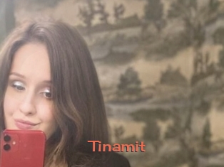 Tinamit