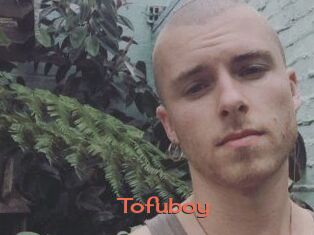 Tofu_boy