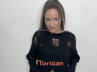 Torisan