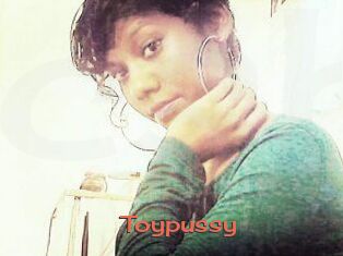 Toypussy