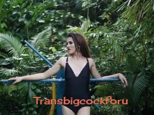 Transbigcockforu