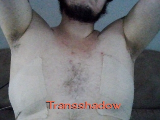 Transshadow