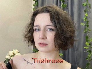 Trishrose
