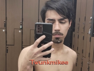Twunkmikee