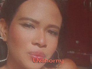 Uvahorny