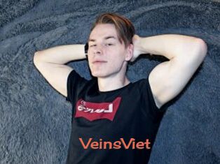 VeinsViet