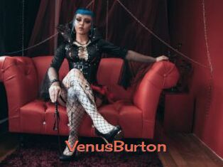 VenusBurton