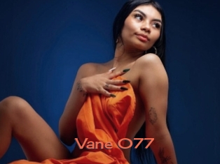 Vane_077