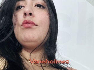 Vaneholmes