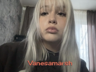 Vanesamarsh