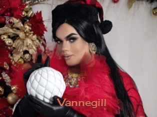 Vannegill