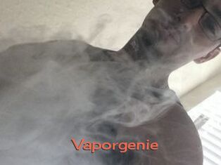 Vapor_genie