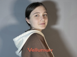 Vellumurr