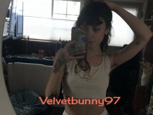 Velvetbunny97