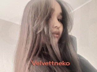 Velvettneko