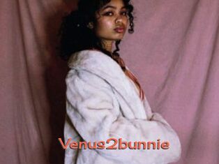 Venus2bunnie