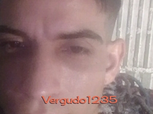 Vergudo1235