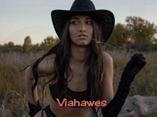 Viahawes