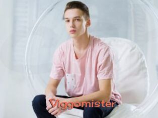 Viggomister